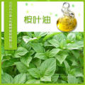 Aceite esencial de ginseng puro natural a base de hierbas chino